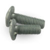 Fin Neck bolt or round head bolt din 603